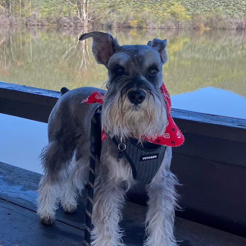 Meet your Posher, Nancy